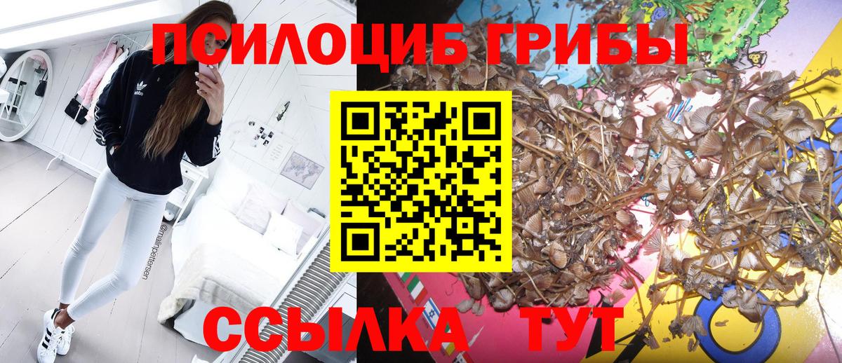 Касимов  Галлюциногенные грибы Cubensis  Галлюциногенные грибы Magic Shrooms  Вход с VPN 