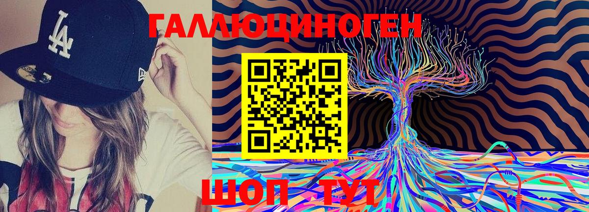Галлюциногенные грибы Psilocybe Касимов